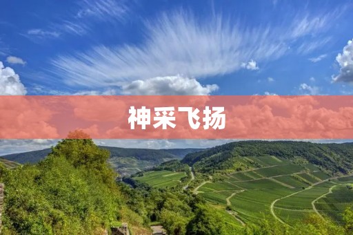 神采飞扬:如何展现自信与魅力