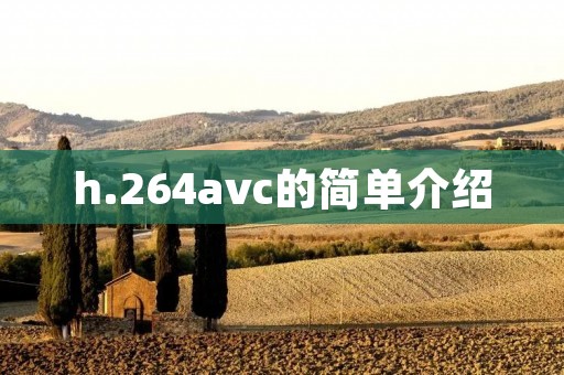 h.264avc的简单介绍 h.264avc的简单介绍