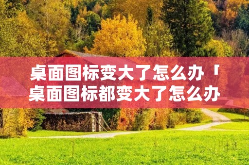 桌面图标变大了怎么办「桌面图标都变大了怎么办」