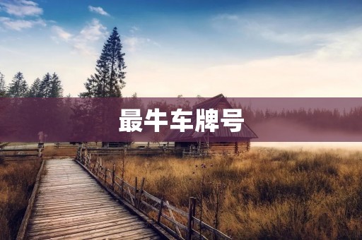 最牛车牌号:探寻中国最独特的车牌号码文化 最牛车牌号:探寻中国最独特的车牌号码文化