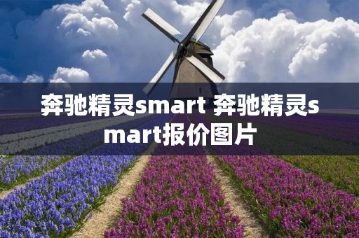 奔驰精灵**art 奔驰精灵**art报价图片 奔驰精灵**art 奔驰精灵**art报价图片