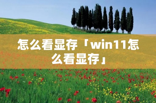 怎么看显存「win11怎么看显存」