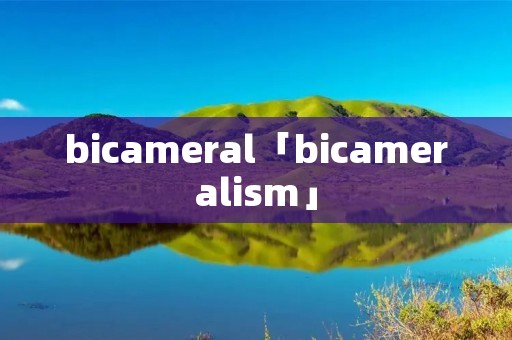 bicameral「bicameralism」