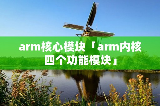 arm核心模块「arm内核四个功能模块」