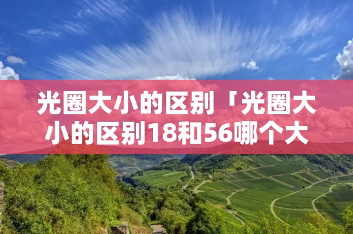 光圈大小的区别「光圈大小的区别18和56哪个大」