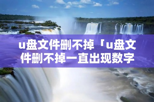 u盘文件删不掉「u盘文件删不掉一直出现数字的文件夹」 u盘文件删不掉「u盘文件删不掉一直出现数字的文件夹」