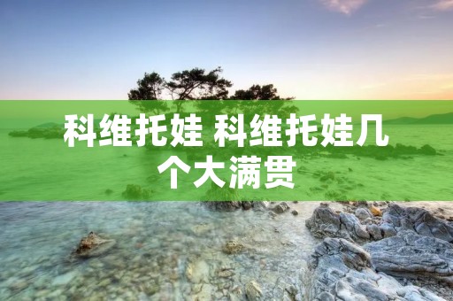 科维托娃 科维托娃几个大满贯