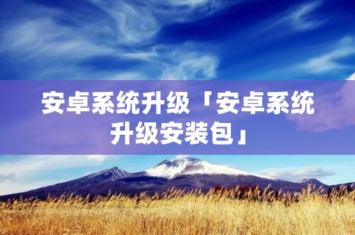 安卓系统升级「安卓系统升级安装包」