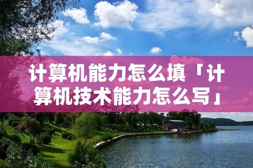 计算机能力怎么填「计算机技术能力怎么写」