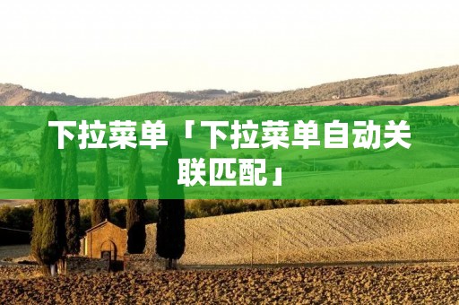 下拉菜单「下拉菜单自动关联匹配」 下拉菜单「下拉菜单自动关联匹配」