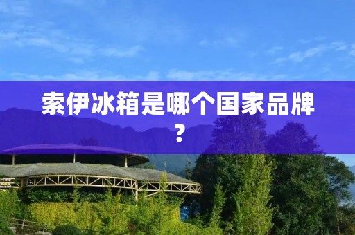 索伊冰箱是哪个国家品牌？