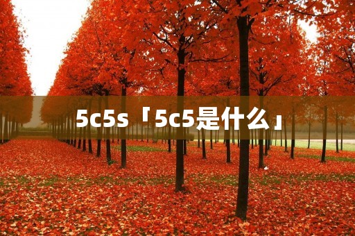 5c5s「5c5是什么」