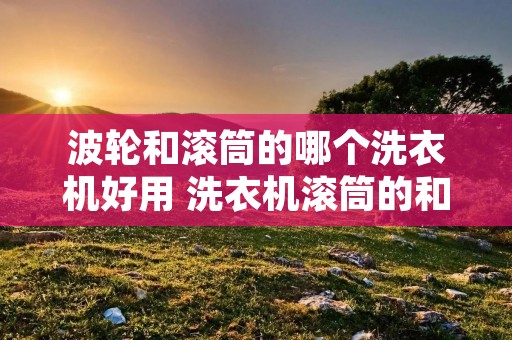 波轮和滚筒的哪个洗衣机好用 洗衣机滚筒的和波轮的哪个洗的干净