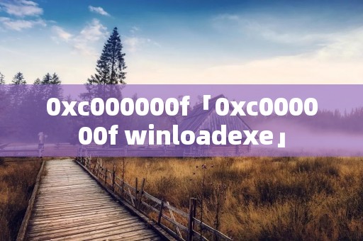0xc000000f「0xc000000f winloadexe」