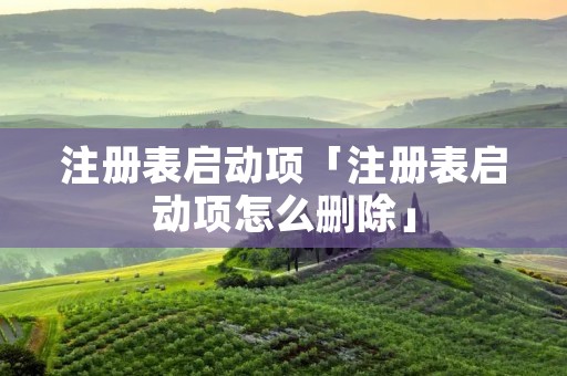注册表启动项「注册表启动项怎么删除」 注册表启动项「注册表启动项怎么删除」