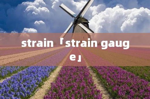 strain「strain gauge」