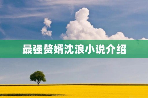 最强赘婿沈浪小说介绍