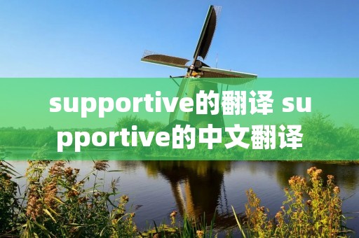 supportive的翻译 supportive的中文翻译