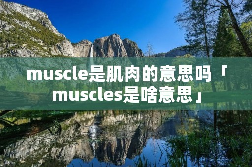 muscle是肌肉的意思吗「muscles是啥意思」