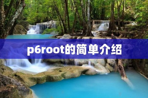 p6root的简单介绍