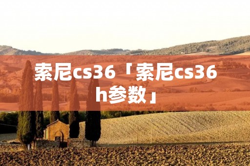 索尼cs36「索尼cs36h参数」 索尼cs36「索尼cs36h参数」