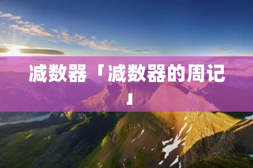 减数器「减数器的周记」