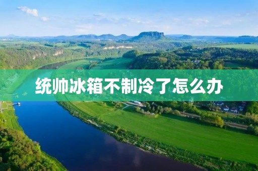 统帅冰箱不制冷了怎么办