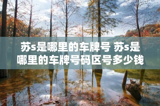 苏s是哪里的车牌号 苏s是哪里的车牌号码区号多少钱