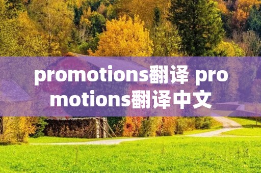 promotions翻译 promotions翻译中文