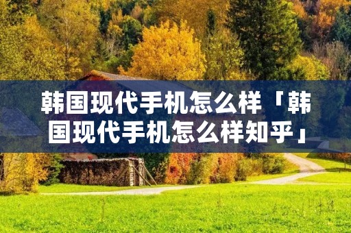 韩国现代手机怎么样「韩国现代手机怎么样知乎」