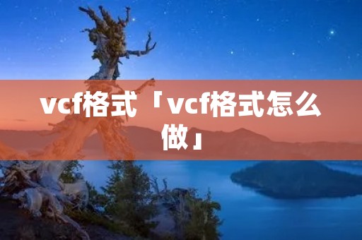 vcf格式「vcf格式怎么做」
