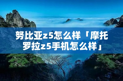 努比亚z5怎么样「摩托罗拉z5手机怎么样」 努比亚z5怎么样「摩托罗拉z5手机怎么样」