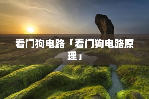 看门狗电路「看门狗电路原理」