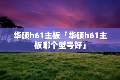 华硕h61主板「华硕h61主板哪个型号好」 华硕h61主板「华硕h61主板哪个型号好」