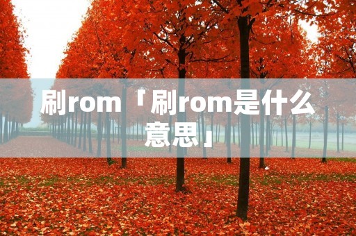 刷rom「刷rom是什么意思」