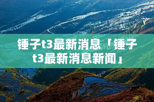 锤子t3最新消息「锤子t3最新消息新闻」 锤子t3最新消息「锤子t3最新消息新闻」
