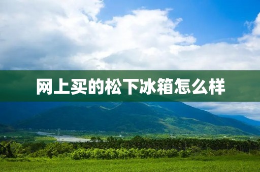 网上买的松下冰箱怎么样