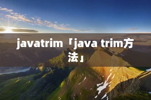 javatrim「java trim方法」
