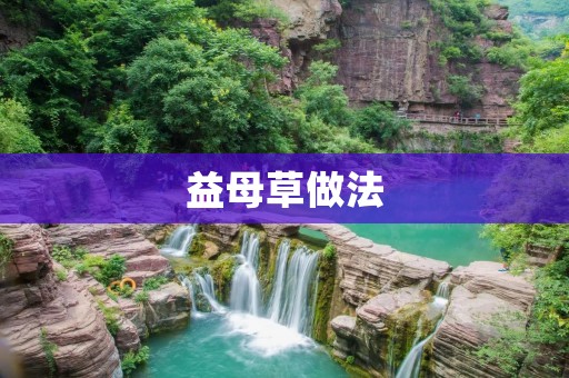 益母草做法：教你如何正确使用益母草来调理身体