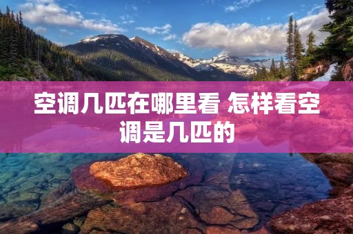 空调几匹在哪里看 怎样看空调是几匹的