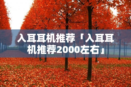 入耳耳机推荐「入耳耳机推荐2000左右」