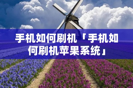 手机如何刷机「手机如何刷机苹果系统」 手机如何刷机「手机如何刷机苹果系统」