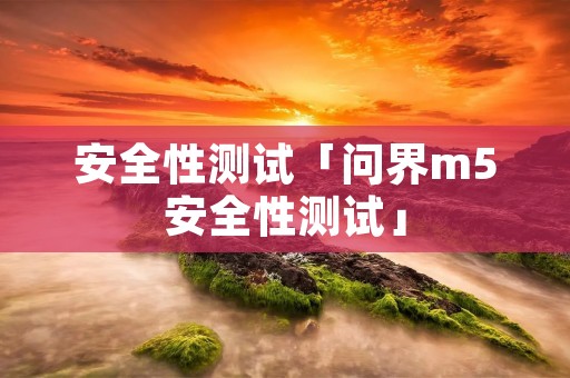 安全性测试「问界m5安全性测试」