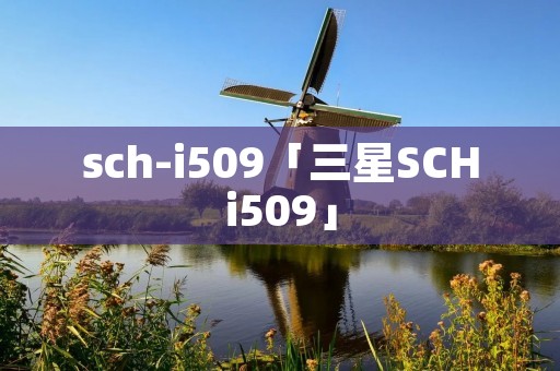 sch-i509「三星SCHi509」