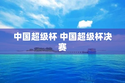 中国超级杯 中国超级杯决赛