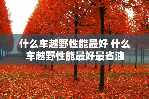 什么车越野性能最好 什么车越野性能最好最省油 什么车越野性能最好 什么车越野性能最好最省油