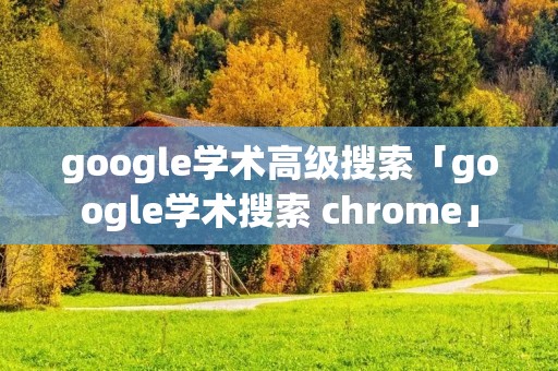 google学术高级搜索「google学术搜索 chrome」