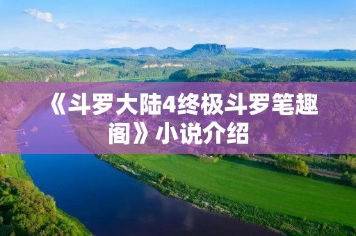 《斗罗大陆4终极斗罗笔趣阁》小说介绍