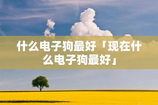 什么电子狗最好「现在什么电子狗最好」