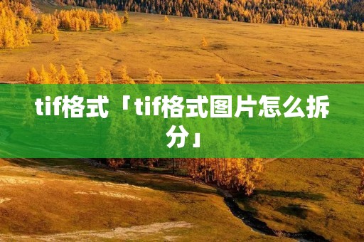 tif格式「tif格式图片怎么拆分」